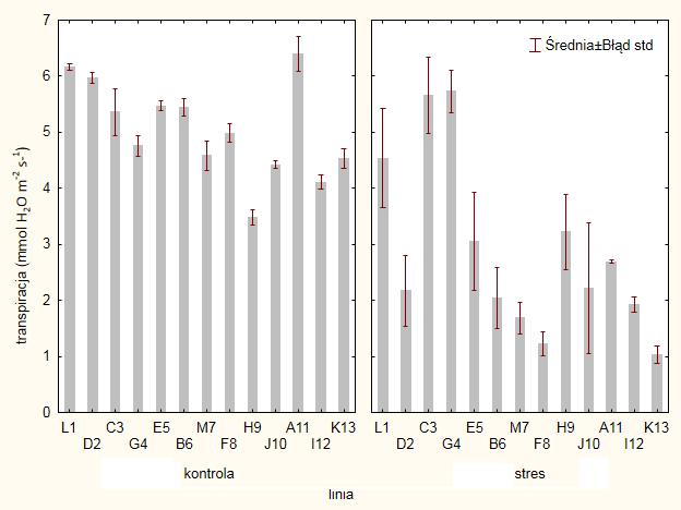 Rys. 11. Natężenie transpiracji (mmol H 2 O m -2 s- 1 ) dla 12 linii wsobnych kapusty głowiastej białej w warunkach optymalnych oraz stresu wodnego 6.