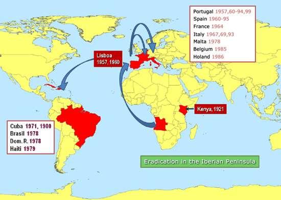 Choroba opisana po raz pierwszy w 1920 roku (Kenia) W Europie ASFV pojawił się w Portugalii (1957) skąd rozprzestrzenił się na kolejne kraje europejskie: - Hiszpania 1960-1995 - Francja 1964-1974,