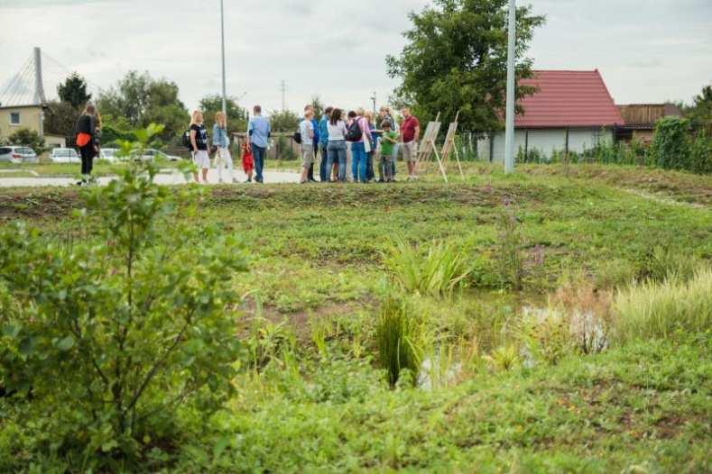 przestrzenna, zdrowie publiczne, populacja miasta Ogrody deszczowe w Gdańsku.