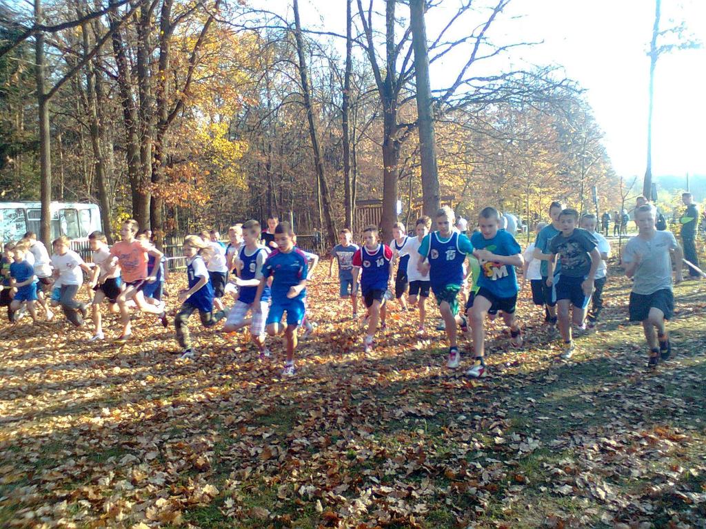 Dziewczęta rywalizowały na dystansie 800m a chłopcy 000m. Opiekunami drużyn były panie Izabela Trela i Małgorzata Wrona. Skład drużyny chłopców: Dominik Kukiełka kl. VI c, Grzegorz Biesiada kl.