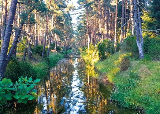 Zadaszona przestrzeń przyległa do budynku stołówka letnia Miejsce ogniskowe oraz grill 43 miejsca