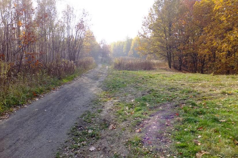 Spokojna, widok na część