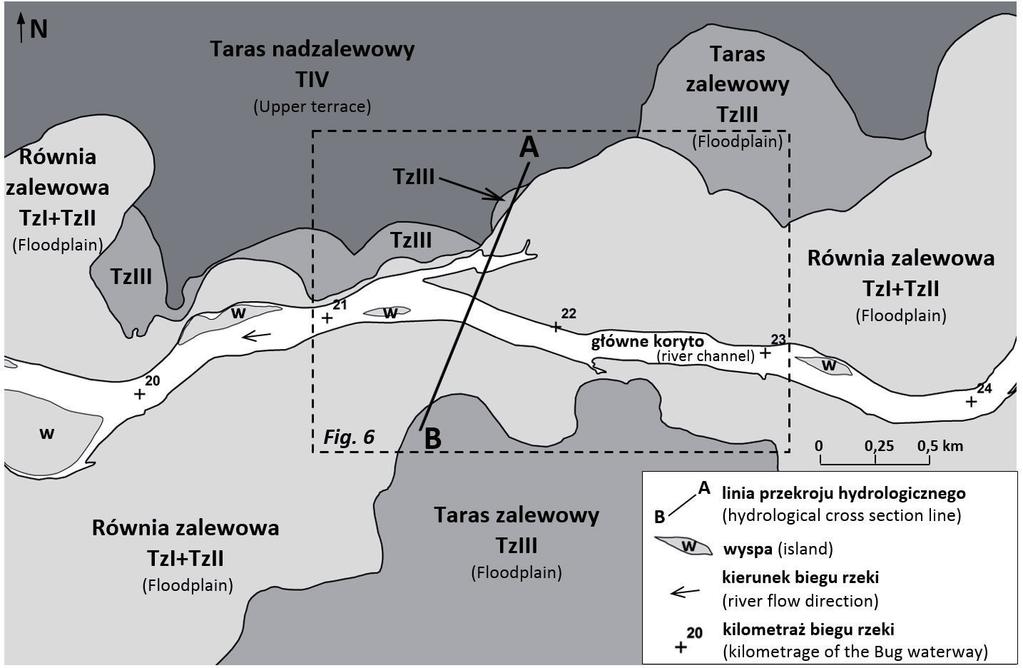 części badanego odcinka. W jego centralnej części (km 21 22) poziom tarasowy II zwęża się do zaledwie 0,7 km. Na jego powierzchni występują liczne paleomeandry oraz starorzecza.