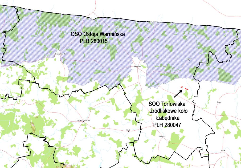 źródliskowe lasy olszowe na niżu oraz punktowo petryfikujące źródła z utworami tufowymi. W źródliskowym olesie licznie występują: porzeczka czarna, sitowie leśne i chmiel zwyczajny.