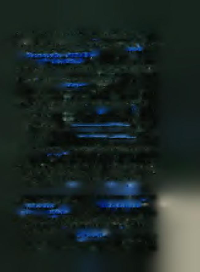 Odznaczenie bojowfej państwowe i społeczne.... e ffr r t Y,... i U......*i.........1*4....U l 21.
