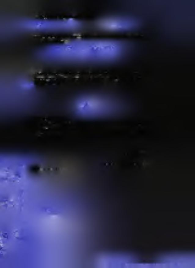 iejsce/ ja /& f / / ^ ć ^ / T f Ż t 7.