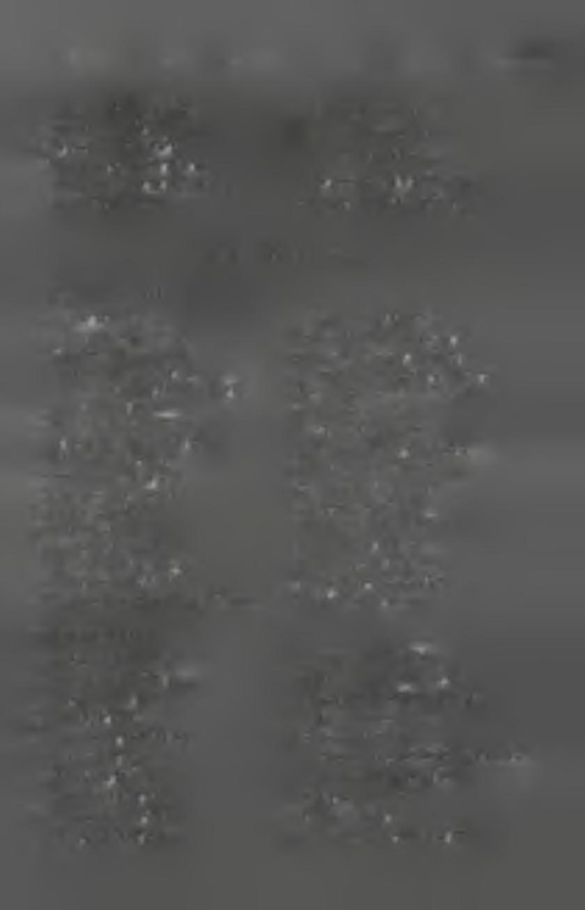 305 9. Alojzy K R A JE W S K I 15. Romana S Ę K A LA 10. Stanisław K U J A W IK 16 Zygm unt SZEJA 11. Czesław M A LU C H 12. Kazimierz N IE C IE C K I SW ID ERSKI 13.