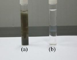 osad nadmiarowy; (b) produkt ciekły (400 C, 25 MPa,