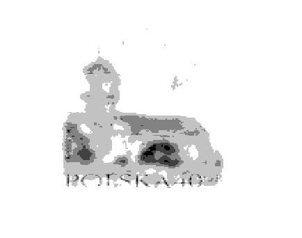 jpg po kwantyzacji reprezentacji chrominancji do 4 poziomów. Rys. 6.