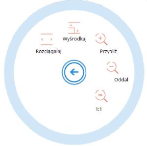 Za pomocą wstążki można zmienić skalę wyświetlanej strony klikając w odpowiedni przycisk. Po kliknięciu w "Oddal" strona zostaje pomniejszona. Po kliknięciu w "Przybliż" strona zostaje powiększona.