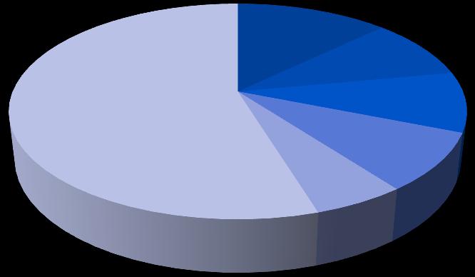 54,74% 12,83% 9,23% 8,98% 8,69% 5,53% Polfinance Sp. z o.o. Jerzy Dera Paweł Woźniak Dariusz Bąkowski Precious Metals Investments S.A.