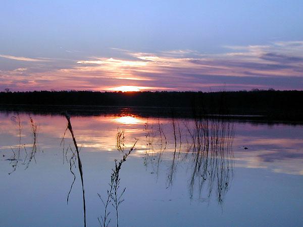 Bezpiecznie nad wodą Skok na główkę do nieznanej wody grozi