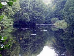 Bezpiecznie nad wodą Twoje