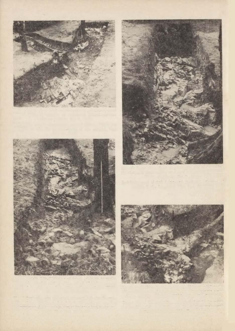 22 WŁODZIMIERZ WOJCIECHOWSKI Ryc. 18. Jańska Góra. Strefa eksploatacyjna w południowej części szybu 1. Widoczne negatywy po wydobytych blokach surowca. Widok od południa. Fot. R. Sierka Exploitation zone in the southern part of shaft 1.