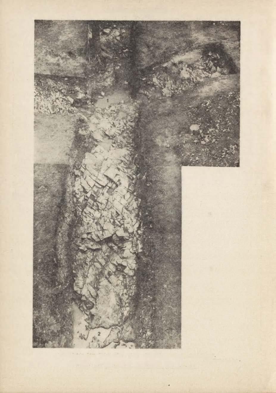 28 WŁODZIMIERZ WOJCIECHOWSKI Ryc.31. Jańska Góra.