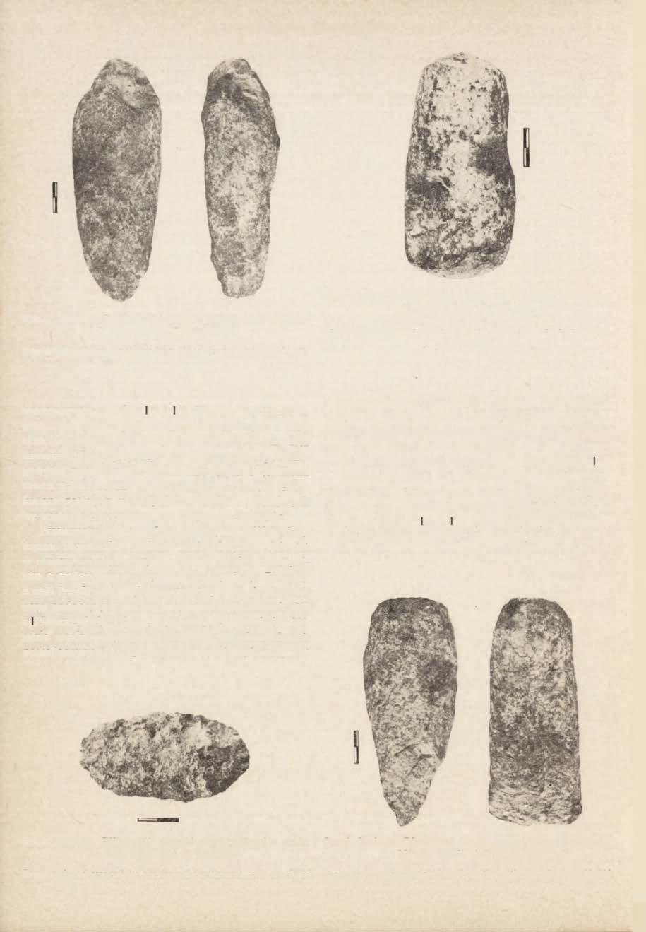 12 WŁODZIMIERZ WOJCIECHOWSKI Ryc.3. Janówek. Półfabrykat topora serpentynitowego z osady. Nr inw. 124g/64. Fot. R. Sierka Semi-produced serpentinite axe from the settlement. Inv. no. 124g,/64 Ryc.5.