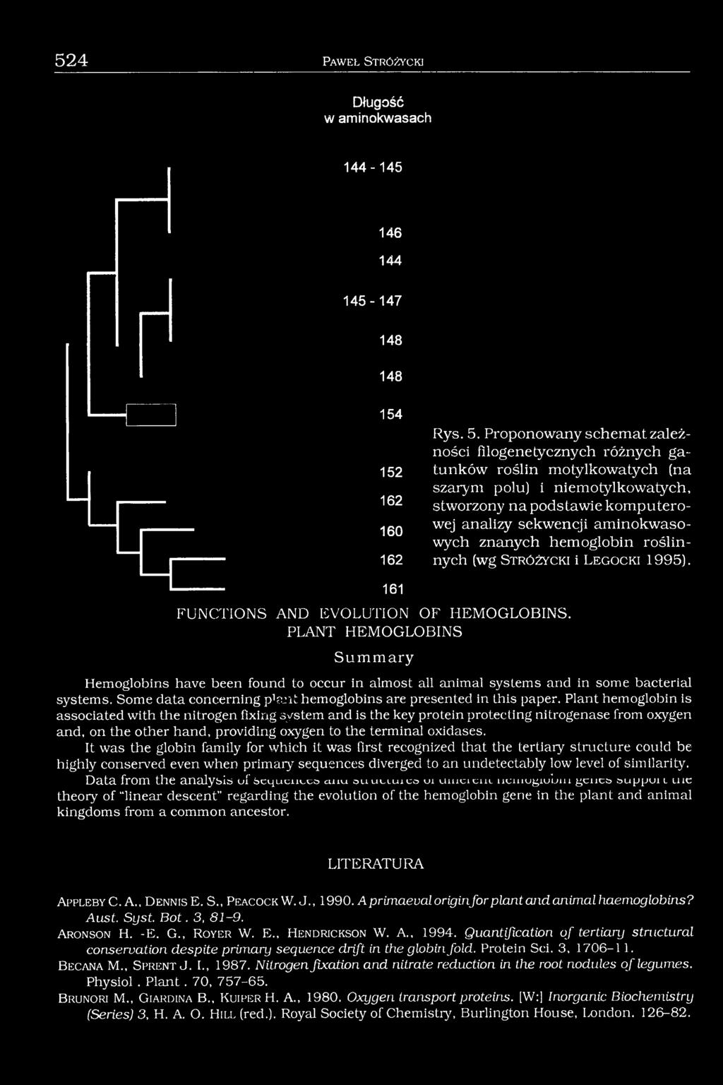 hemoglobin roślinnych (wg S t r ó ż y c k i i L e g o c k i 1995). 161 FUNCTIONS AND EVOLUTION OF HEMOGLOBINS.