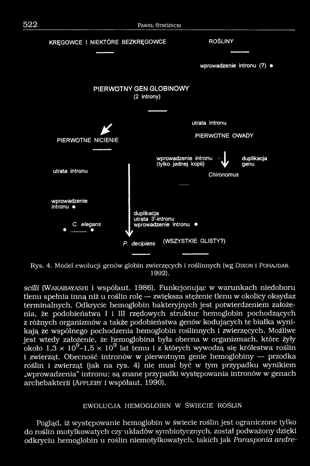 elegans» duplikacja utrata 3'-intronu wprowadzenie intronu V P. decipiens (WSZYSTKIE GLISTY?) Rys. 4. Model ewolucji genów globin zwierzęcych i roślinnych (wg D ix o n i P o h a j d a k 1992).