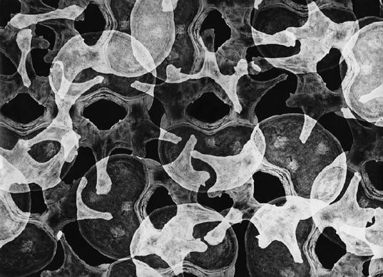 Il. 6. Stefan Wojnecki, Kręgi, 1958 (luksografia) wypełniających kadr. Ślady ludzkich pozostałości częściowo nakładają się na siebie.