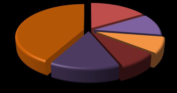 Dariusz Witkowski; 42,09% Jarosław Ostrowski; 16,29% Szczepan Dunin- Michałowski; 11,19% Edmund Kozak; 8,15% Akcjonariusze mniejszościowi; 14,13% Łukasz Piasecki; 8,15% Aktualnie w ASO NewConnect