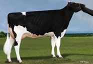 USA75642 data urodzenia: 29-Jun-13 aaa: 243516 Matka: AIR-OSA-MLE ALX MYSTICAL EX-91 3-8 3X 365D 18,275 kgm 4.5% 822 kgf 3.3% 67 kgp 59 zł NM$ 296 DWP$ 282 Średnia córek 12327 kgm 3.7% 46 kgf 3.