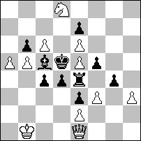 echa kameleonowego: całkowicie analogiczna gra obu rozwiązań odbywa się na polach odmiennego koloru! 1.Ha1 Wa4 2.Ga2 Sb3# 1.Wh7 W:h4 2.Gh6 g5#.