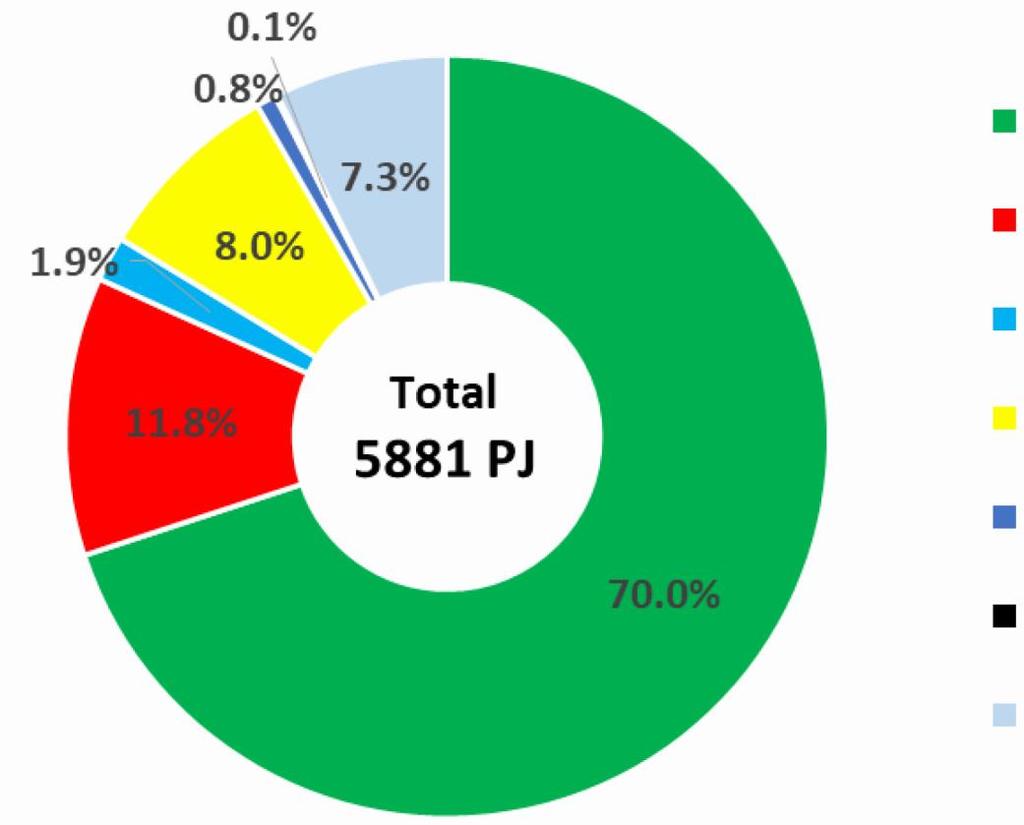 Podział bioenergii Biomasa stała Biogaz Bioetanol Biodiesel Pozostałe