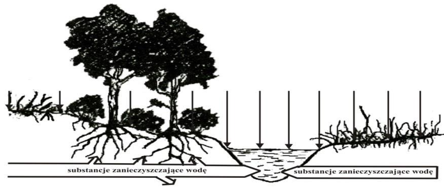 wzdłuż cieków i zbiorników