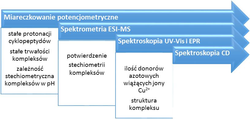 Na podstawie stałych protonacji analizowanych związków, wyznaczonych za pomocą metody miareczkowania potencjometrycznego, scharakteryzowano ich właściwości kwasowo-zasadowe.