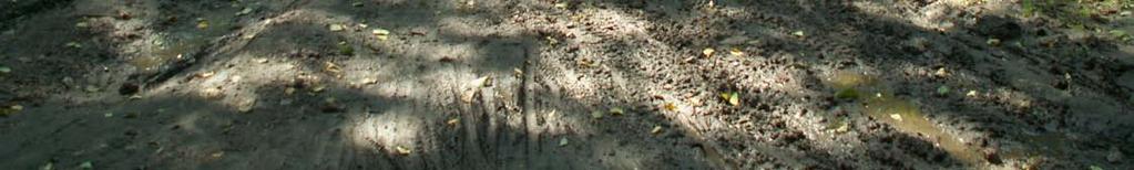występują