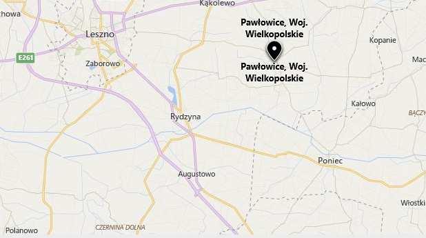 Dojazd do miejscowości zapewniony jest również dzięki Kolejom Wielkopolskim oraz PKS Leszno Sp. z o.o. Transport kolejowy przechodzący przez wieś odbywa się na trasie Leszno Ostrów Wlkp.