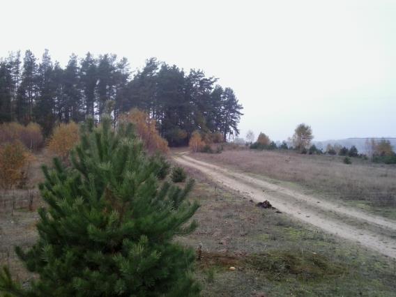 Większość terenów to jednak nieużytki lub uprawiane dotąd rolniczo grunty.