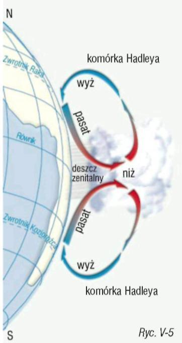 w prawo (wiatry północno-wschodnie), a na półkuli południowej w lewo (wiatry południowo-wschodnie). Pasaty są najważniejszym elementem cyrkulacji powietrza w obrębie komórek Hadleya.