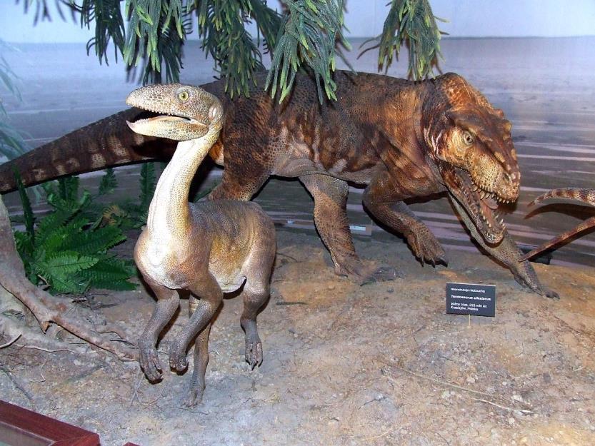POPULARNONAUKOWE SESJE KRASIEJOWSKIE 2003-2019 Śląskie dinozaury nie tylko z Krasiejowa