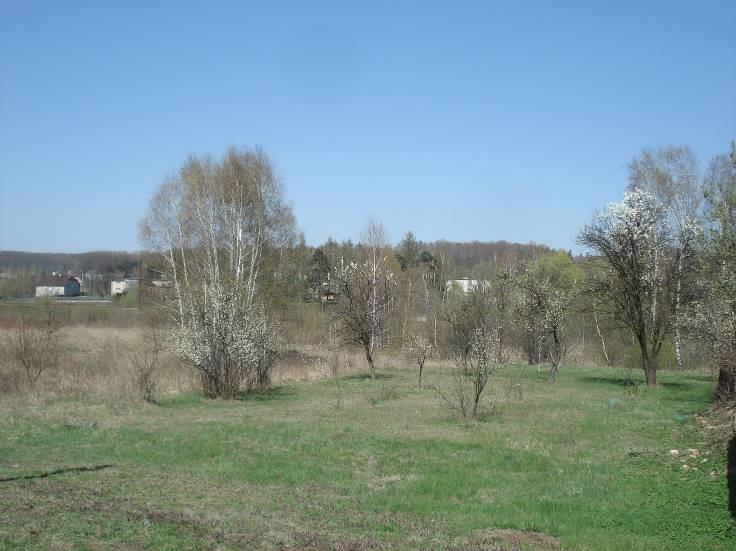 północnym Fot. 10 Ul.
