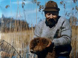 Bóbr W 1976 r. - Program aktywnej ochrony bobra europejskiego w Polsce, którego założeniem było, aby bóbr powrócił w przyrodniczy krajobraz naszego kraju.