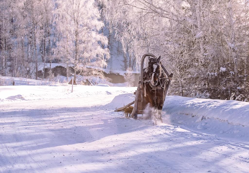 Dzień 7 piątek 8:00 10:00 śniadanie w formie bufetu 10:00 14:00 opieka dla dzieci 13:00 15:00 Apre ski podwieczorek.