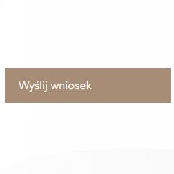 W nowym oknie pojawią się dane wnioskodawcy oraz firmy [4]. Istnieje możliwość wprowadzenia dodatkowych informacji dla komornika, a także dodania załączników (np.