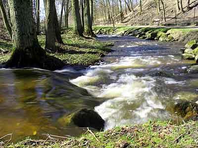 Projekt dofinansowany ze środków Ministerstwa Sportu i Turystyki NATURA 2000 2012 Biegiem Rzeki (Koszt całkowity: 125 700, Dotacja: