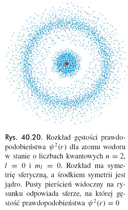 Stany atomu wodoru o głównej licbie kwantowej n= Stany o dużej głównej licbie kwantowej n Gdy orbitalna licba kwantowa ma najwięksą