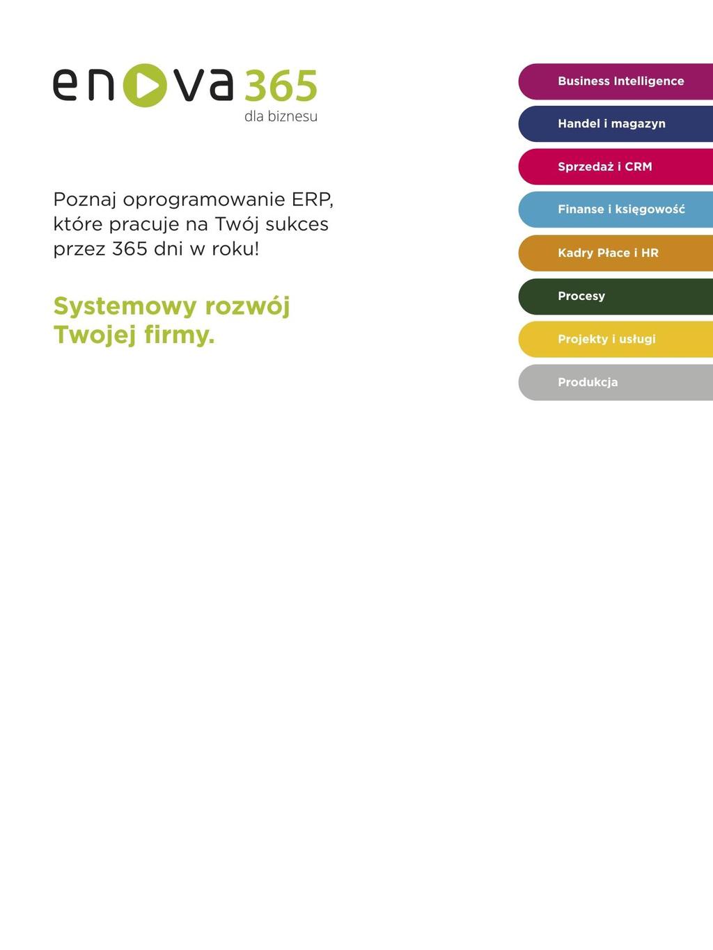 Panele Business Intelligence