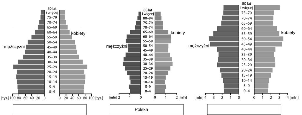 Załącznik 4. Zad. 10. Piramida wieku. Załącznik 5. Zad. 12. Tabela i mapa.