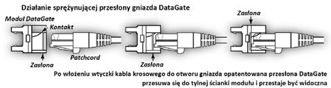 Rozwiązania miedziane PowerCat TM 6 wersja ekranowana Kabel PowerCat 6 U/FTP Czteroparowy kabel PowerCat 6 F/UTP jest przeznaczony do szybkich systemów transmisji danych kategorii 6.