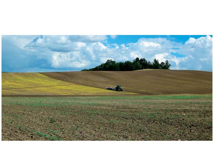 WARUNKI KLIMATYCZNO-GLEBOWE Występujące w całej Polsce warunki klimatyczne są odpowiednie do uprawy konopi na materiał nasienny. Tymczasem dobór gleb nie jest obojętny.