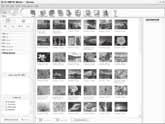 Przeglądanie zdjęć / sekwencji wideo 1 W głównym menu aplikacji OLYMPUS Master kliknij przycisk»browse Images«(Przeglądanie obrazów). Wyświetlone zostanie okno»browse«(przeglądaj).