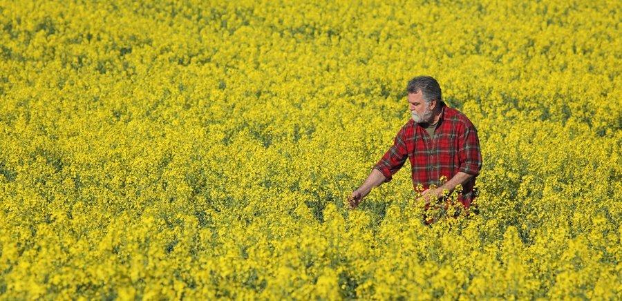 https://www. Błąd w ustawie o zakazie handlu. Ucierpią rolnicy!