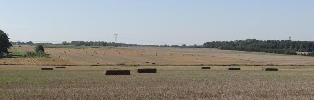 Środowiskowe cele WPR Jednym z głównych celów WPR jest pełniejsze wykorzystanie potencjału rolnictwa w przeciwdziałaniu niekorzystnemu oddziaływaniu na środowisko.