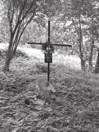 68. Michał (syn Walentego Rusnarczyka i Marianny, z domu Beniowska), zm. 5 sierpnia, wiek: 13 miesięcy, nr domu: 64; 69. Wojciech (syn Jana Peterszajna i Julianny, z domu Pawlik), zm.