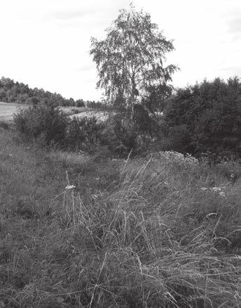 1. Rozalia (córka Joachima Bednarczyka i Reginy, z domu Janeczek), zm. 22 lipca, lat 10, nr domu: 4; 2. Józef (syn Jana Treli i Zofii, z domu Gromali), zm. 31 lipca, lat 2, nr domu: 36; 3.