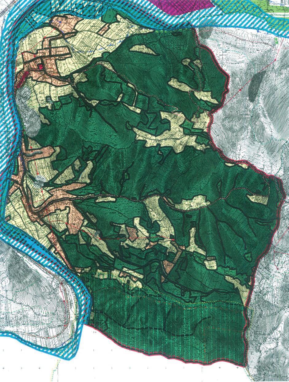 ZARZECZE